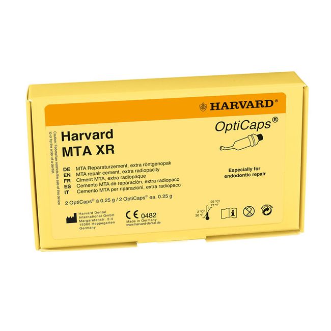 Harvard MTA endodontinis