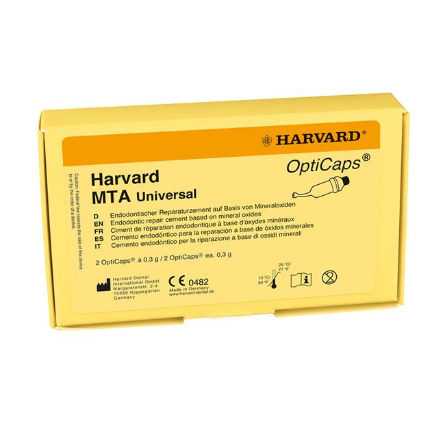 Harvard MTA