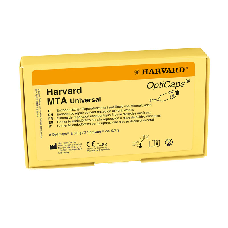 Harvard MTA endodontinis