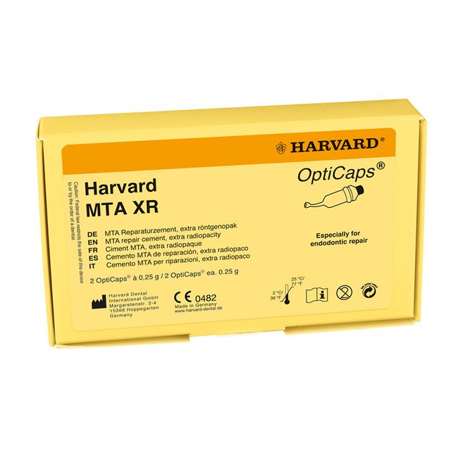 Harvard MTA