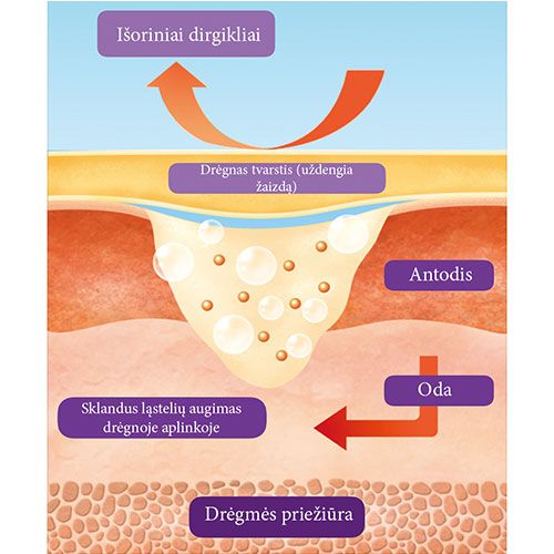 Ora-Aid conceptual intaoral wound dressing strip